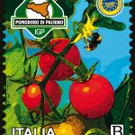 Consorzio di tutela Igp pomodoro di Pachino